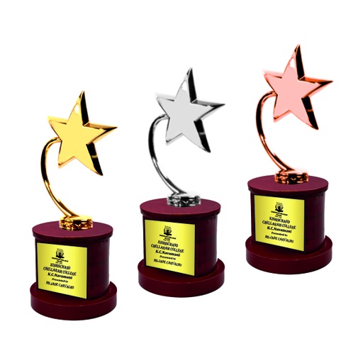 Wood & Metal Trophy WM 9505